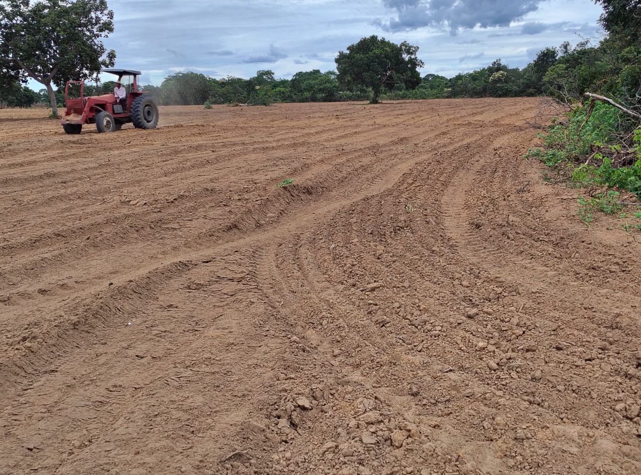 WhatsApp Image 2025-07-02 at 00.52.03 (2)(1).jpeg