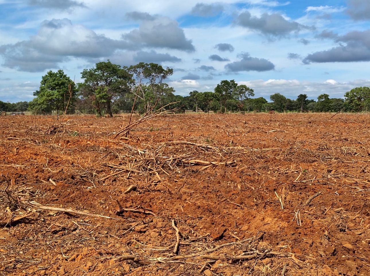 WhatsApp Image 2025-07-02 at 00.52.03(1).jpeg