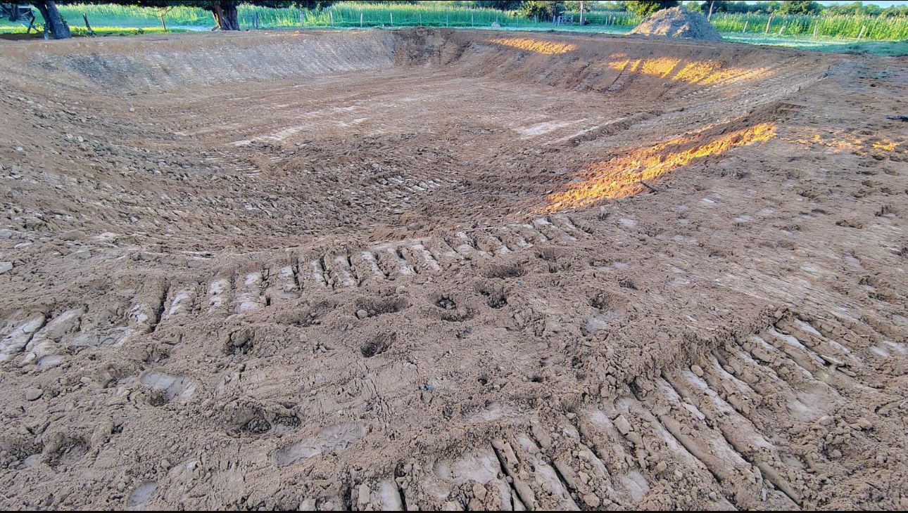 WhatsApp Image 2025-07-02 at 00.52.25 (2).jpeg