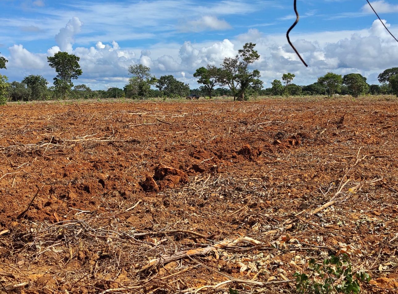 WhatsApp Image 2025-07-02 at 00.52.03 (1)(1).jpeg