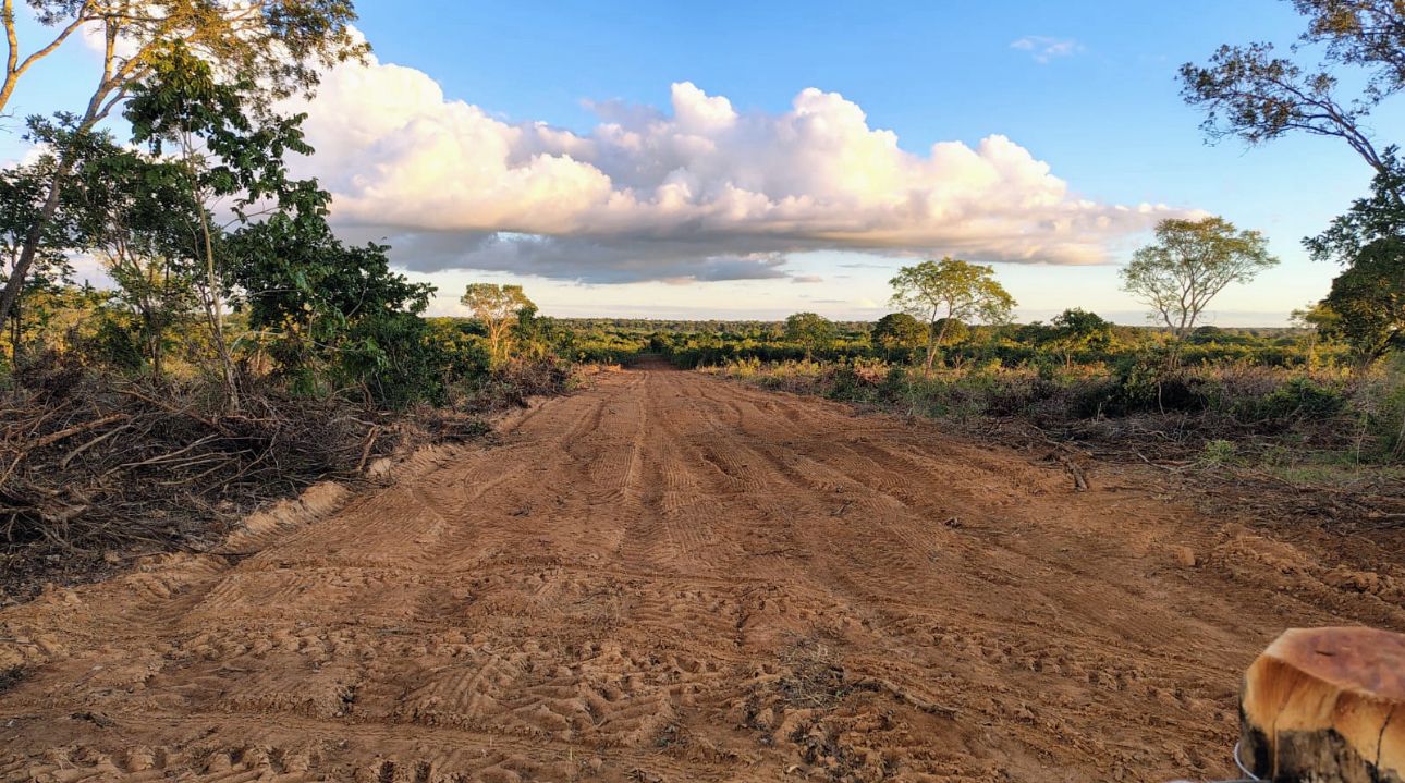 WhatsApp Image 2025-07-02 at 00.52.04.jpeg