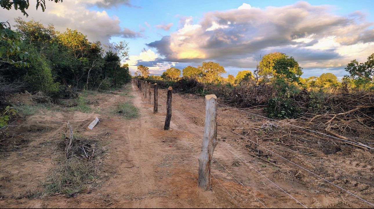 WhatsApp Image 2025-07-02 at 00.52.25 (4).jpeg