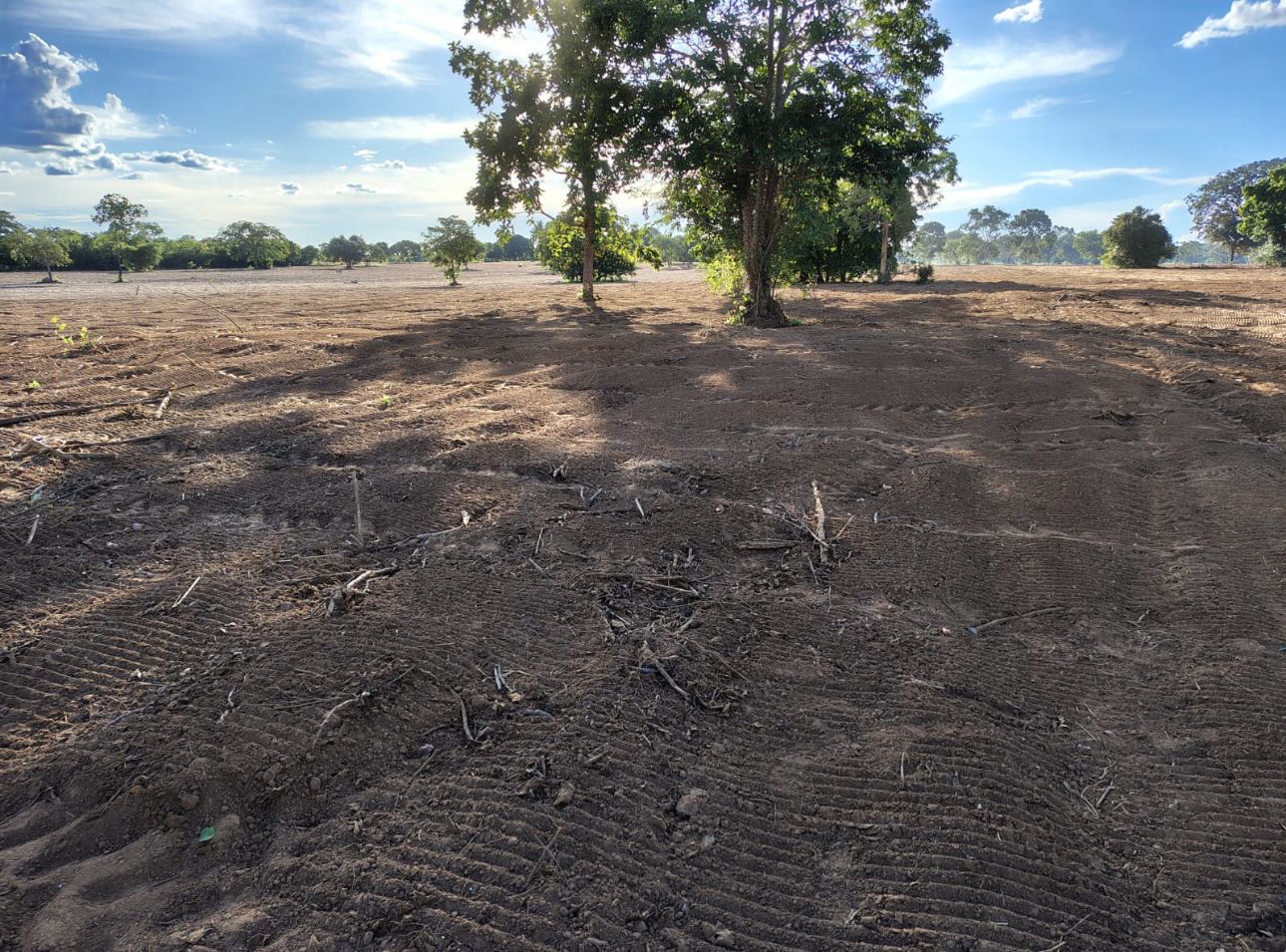 WhatsApp Image 2025-07-02 at 00.52.03 (4).jpeg