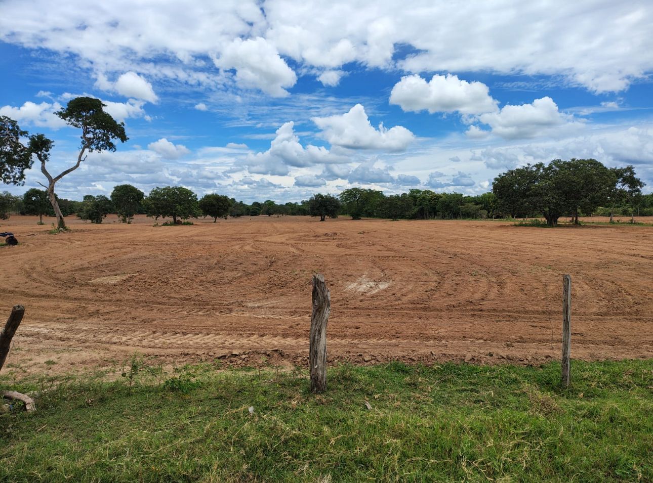 WhatsApp Image 2025-07-02 at 00.52.03 (1).jpeg